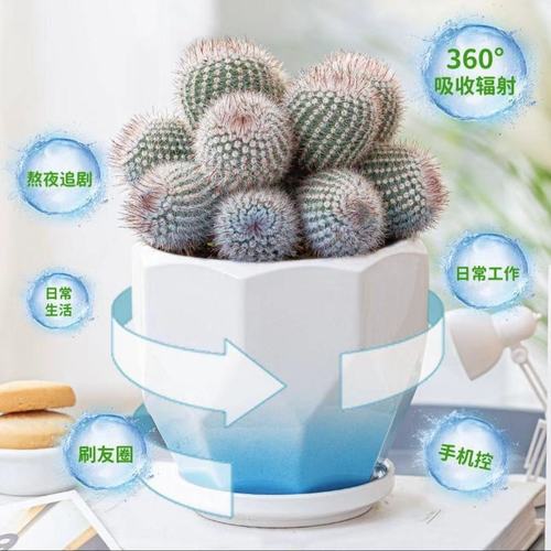 仙人掌的防辐射特性与电脑辐射的对比分析