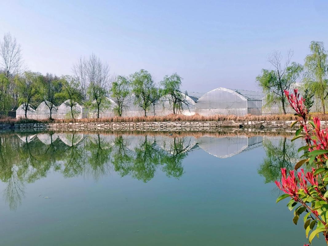 都昌春桥疫情最新消息