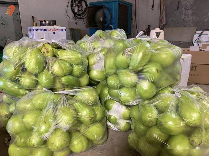 兴城聚鑫疫情防控最新动态，保障市民安全与经济稳定