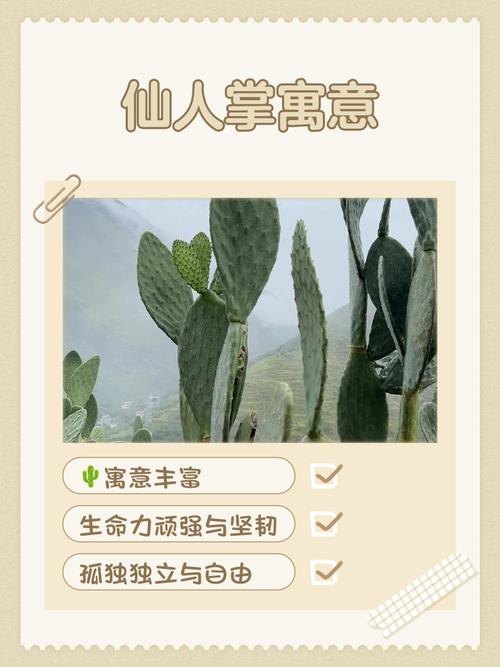 仙人掌防辐射，从成分到保护机制，为您的健康保驾护航！