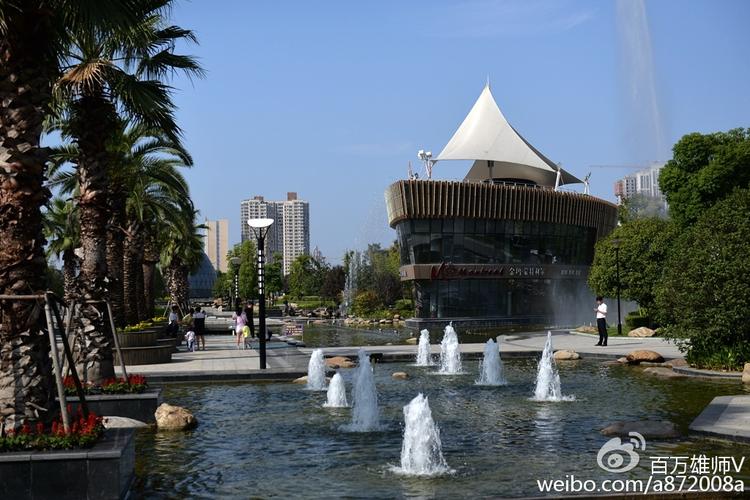 安康网络公司王治恒