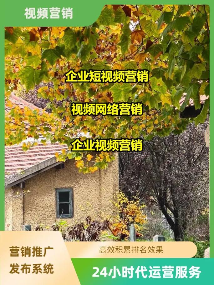 如何在西安成功开展网络营销营销