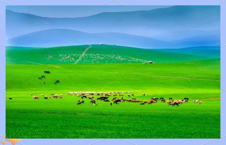 不同的自然与文化,锡林郭勒草原的解析