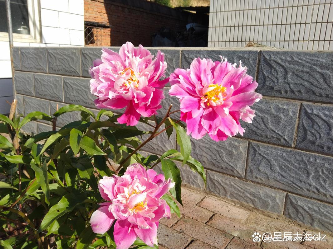 让共享空间成为你的电脑迷新生活