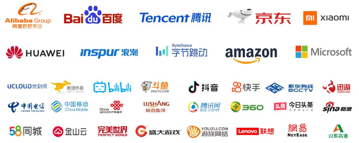 宁波网络公司,数字时代的重要合作伙伴