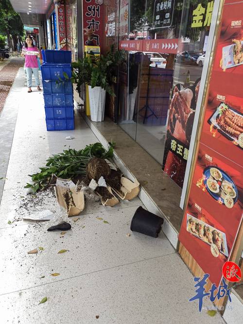 广州科新路疫情最新消息