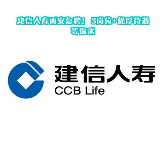 建信网络设计公司