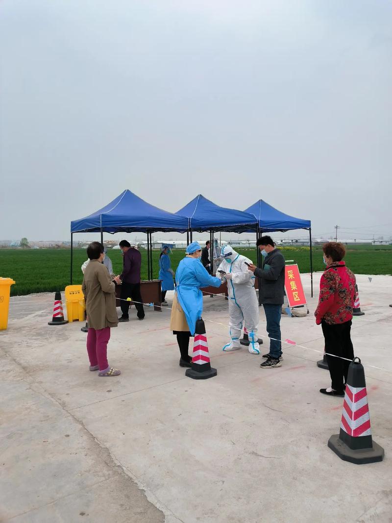 利辛疫情最新消息,防控措施与居民生活的平衡