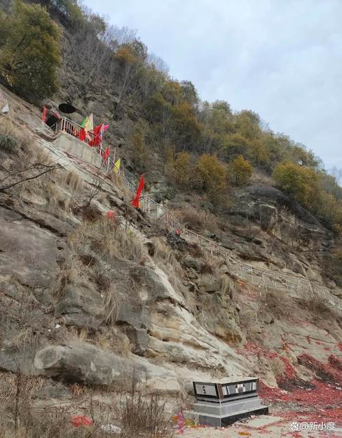 西安到商南疫情最新消息指南