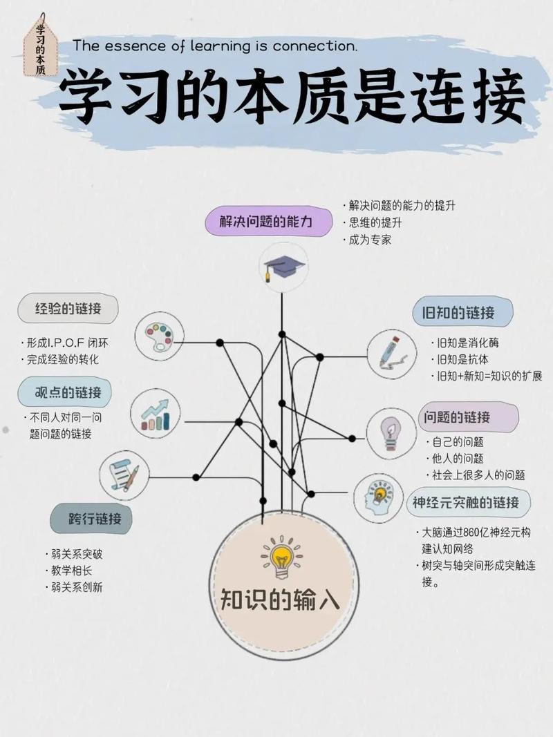 电脑学校,让学习更高效?这些关键点你知道吗?