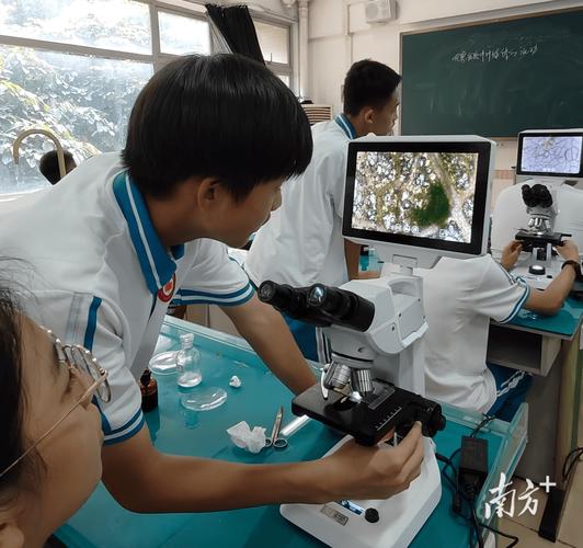 东莞一中科技，助力企业成长，开启创新之旅