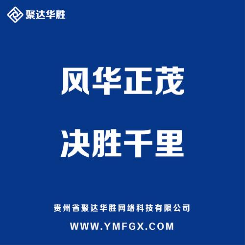 天书网络科技有限公司，你的专属流量助手