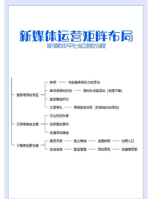 如何高效构建视频网站？从管理到优化，这些小技巧你必须知道！