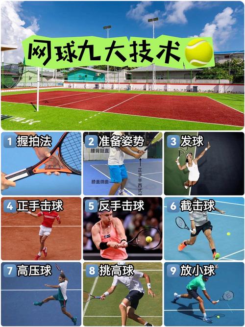 网球电脑配置指南，从基础到升级，如何让设备更高效