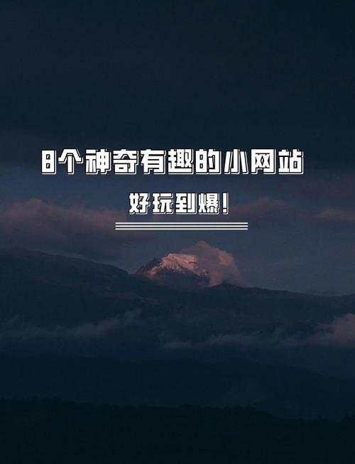 选择适合的IP，让网站更高效！