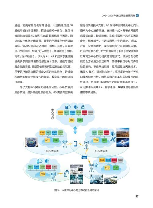 网络服务，未来趋势与优化指南