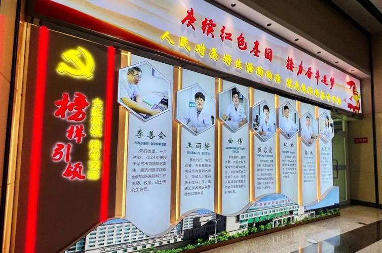 中医院网站建设方案,打造专业服务与人文关怀的完美结合