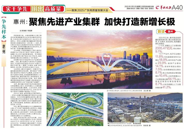 惠州市域网站优化与推广，专业团队助力精准增长