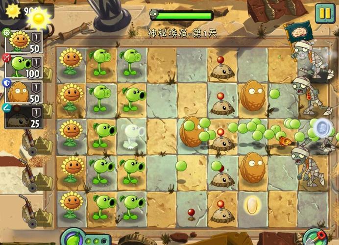 罗盘游戏，如何在植物大战僵尸2电脑版小游戏中获得高分