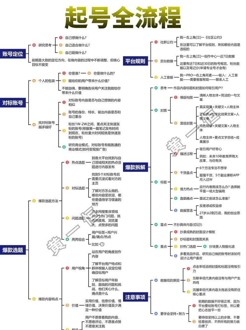 网红，高效运营的全栈指南