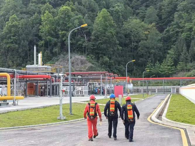 台州网站惠店科技，科技助力 success