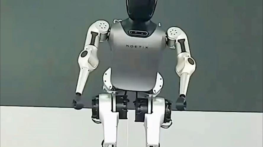 让电脑成为跳舞的机器人，从纳米技术到虚拟世界的 wonder