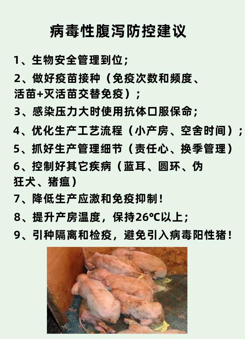 猪瘟疫情最新消息，防控指南来了！