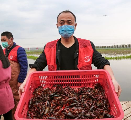潜江浩口疫情最新消息，及时分享，保障民众安全
