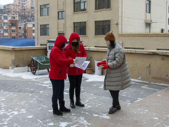 长方春疫情 Overview