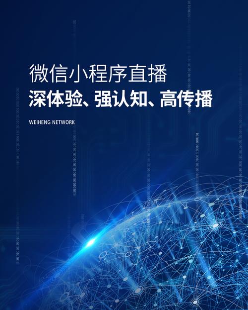 深圳雪狼网络有限公司指南 高效网络解决方案