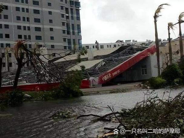 疫情来袭，杭浦区面临严峻挑战