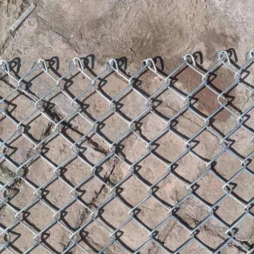 羊牛网络公司，助力您的网络生长