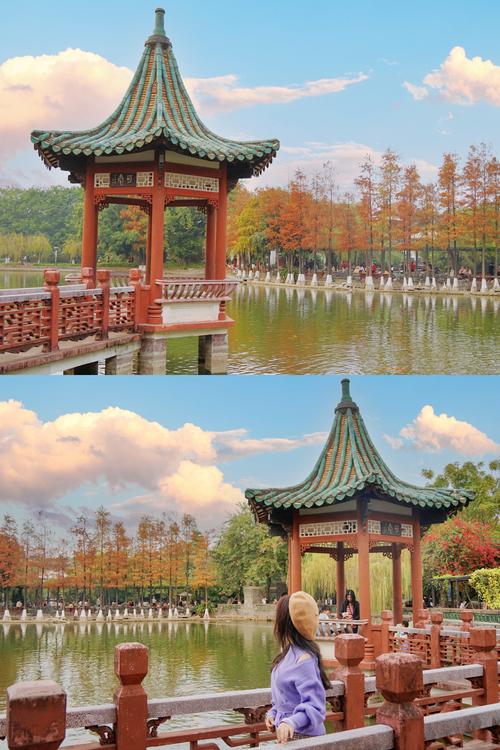 东莞可园最新消息，疫情最新信息来了！