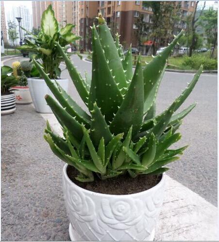 重庆电脑培训班防辐射指南