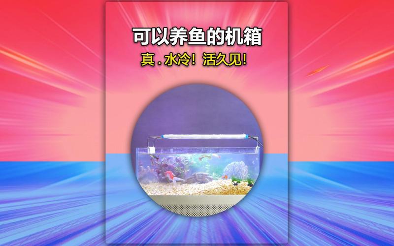 电脑对鱼缸真的有危害吗？你知道吗？