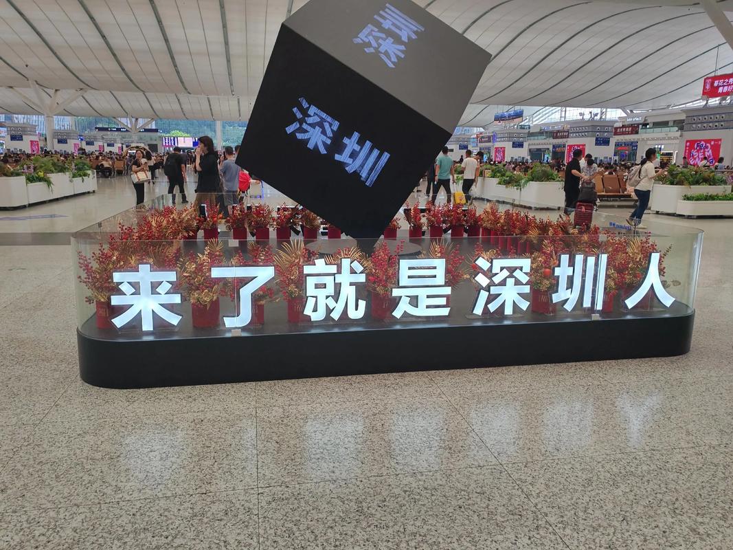 从零开始，玩转龙岗科技，掌握行业之道