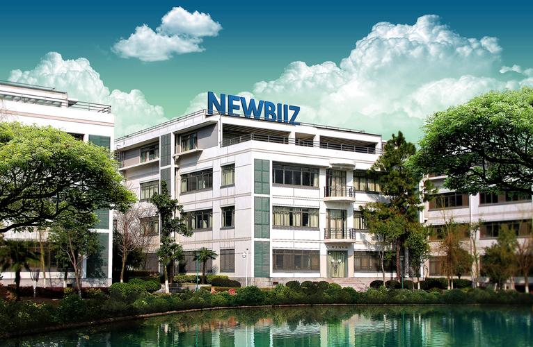 武汉科技网络公司，科技与城市融合的创新典范