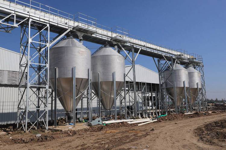 安丘国际网站建设方案