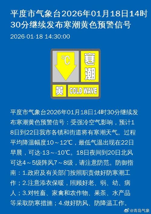 平度市疫情最新消息，紧急通报，医疗资源紧张，公众反应热烈