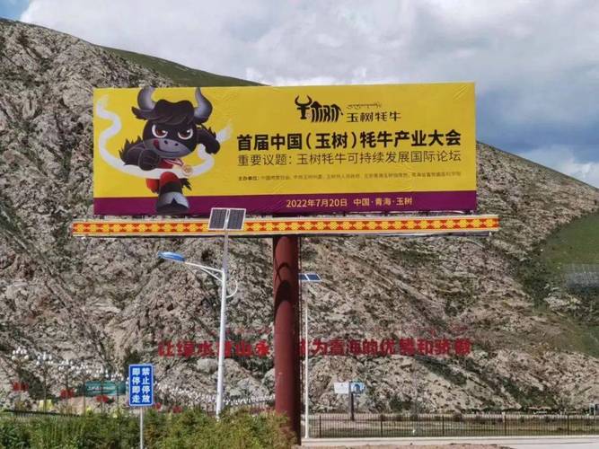 玉树疫情最新动态,牦牛健康监测重点