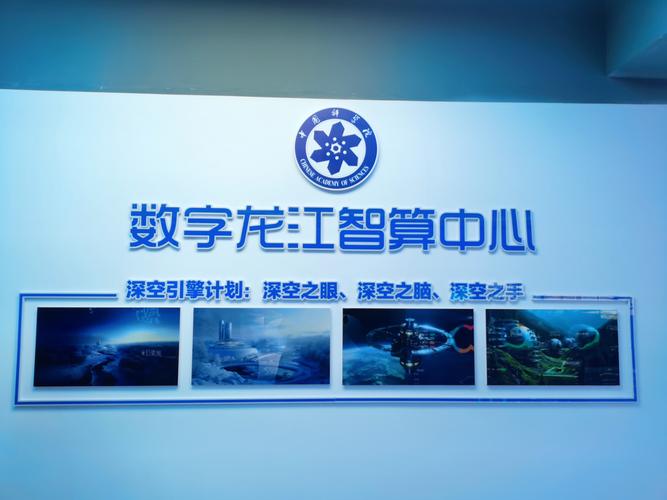 哈尔滨-sized网站，构建高质量的数字化品牌形象