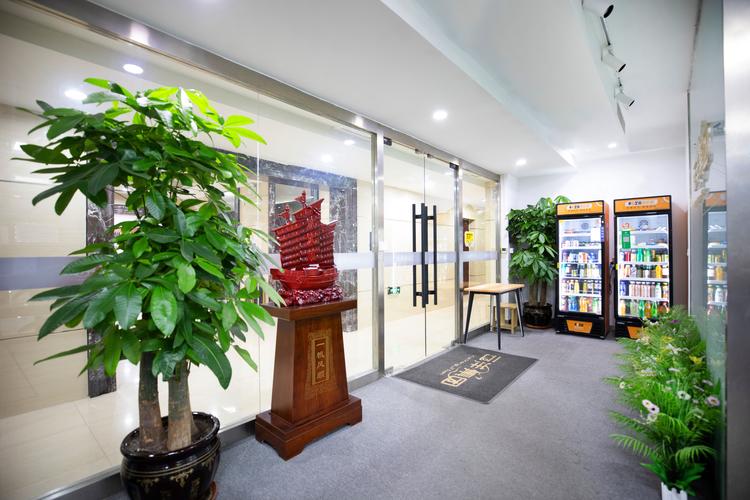 沈阳网络策划有限公司