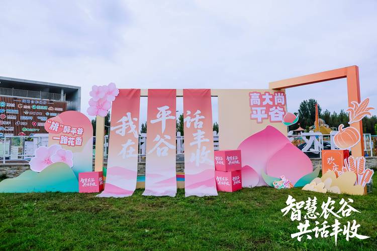 平谷大门户网站,打造高质量内容的创新之路