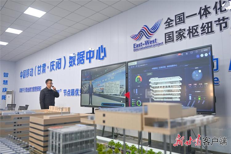 东阳网络，网络技术领域的领先者