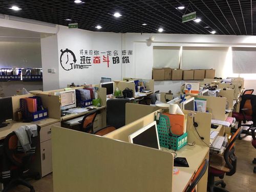 223广州网络优化行业排名解析