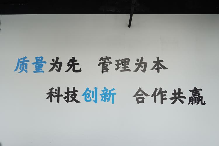 公司秉承技术领先、服务优质、服务本地的核心价值观，拥有一支经验丰富的技术团队和专业的团队管理团队，致力于为用户提供高质服务。公司还注重数据安全和隐私保护，确保所有用户的数据安全