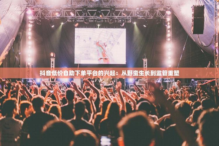 抖音自助下单平台，用户行为背后的陷阱