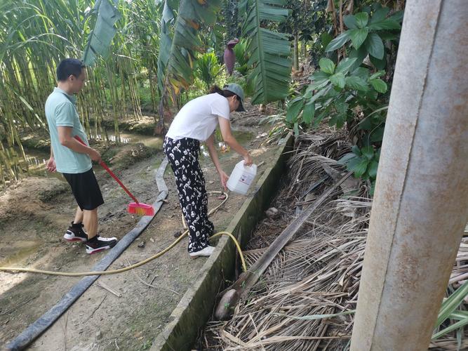 琼海最新疫情，数据与应对措施