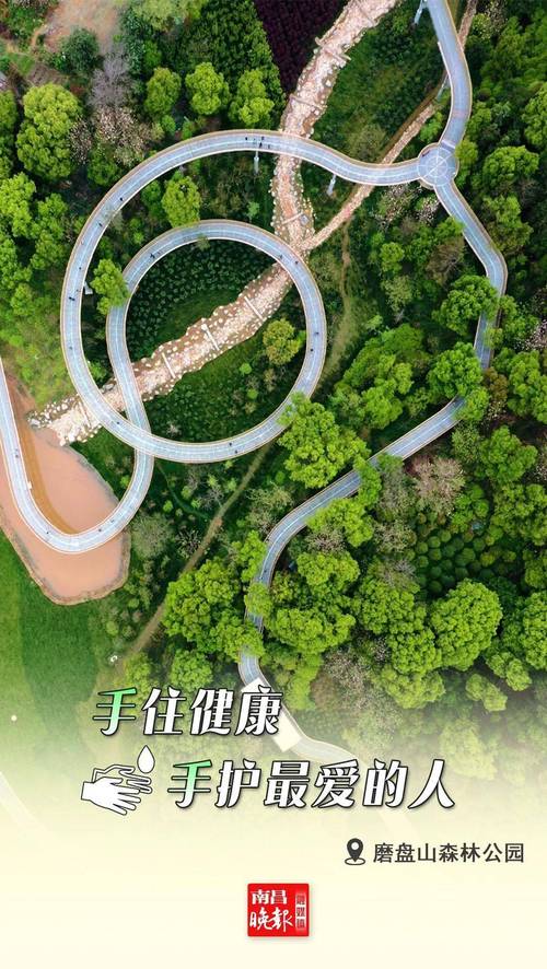 连江疫情最新通告,防控指南、治疗与康复指南、医疗资源分配指南