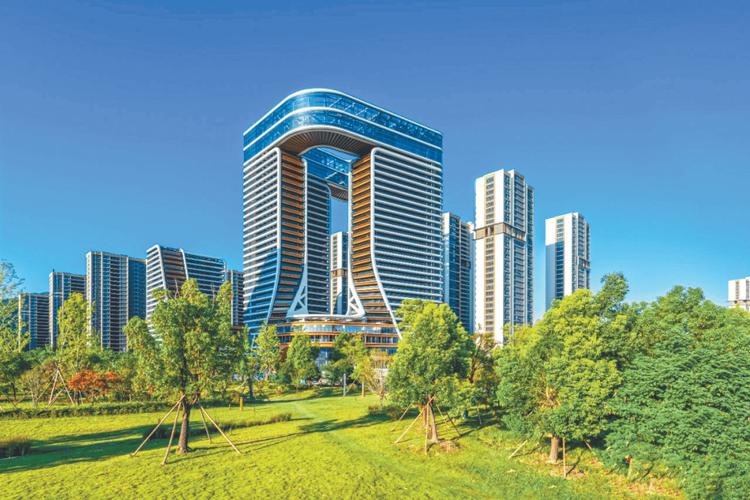 宁波大型网站,打造高质量的未来标杆